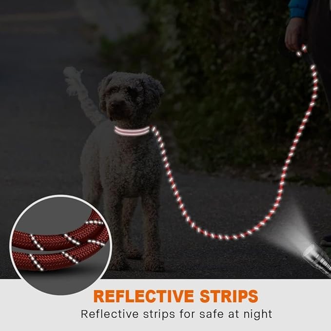 Taglory Rope Dog Leash 6 FT with Comfortable Padded Handle, Highly Reflective Threads Leash and Anti-Tangle Clip for Walking Small Dogs, 3/8 inch, Red