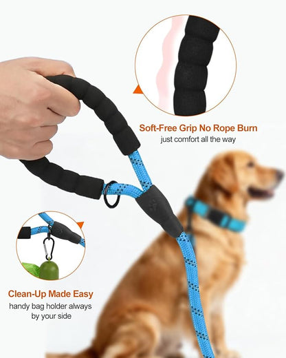 Joytale Dog Leash for Large Dogs, Heavy Duty Nylon Leashes with Comfortable Padded Handle and Highly Reflective Threads, Ideal for Walking and Training, SkyBlue, 5'×1/2''