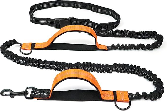 Hands Free Dog Running Leash, Pet Leash Outdoor Running Reflective with Adjustable Waist Belt, Near Far Double Handle, Dog Chain Leash for Walking, Jogging and Running (Lake Blue)