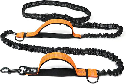 Hands Free Dog Running Leash, Pet Leash Outdoor Running Reflective with Adjustable Waist Belt, Near Far Double Handle, Dog Chain Leash for Walking, Jogging and Running (Lake Blue)