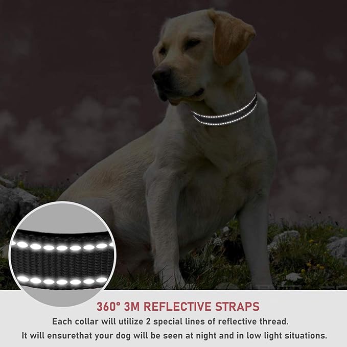 Reflective Dog Collar with Buckle Adjustable Safety Nylon Collars for Small Medium Large Dogs, Black XS