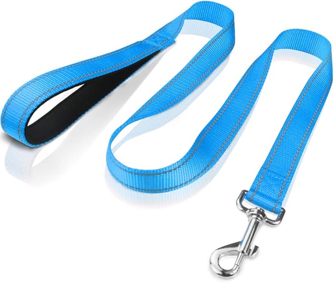 FunTags 4FT Reflective Dog Leash with Soft Padded Handle for Training,Walking Lead for Medium & Small Dogs,3/4 Inch Wide,SkyBlue