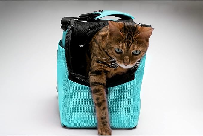 Sleepypod Atom Pet Carrier (Dark Chocolate)