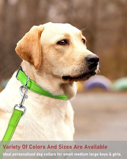 Reflective Dog Collar with Buckle Adjustable Safety Nylon Collars for Small Medium Large Dogs, Grass Green L