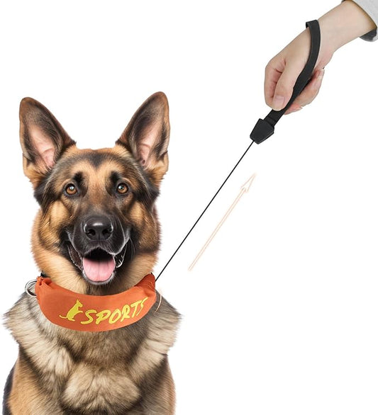 2 in 1 Dog Collar with Retractable Dogs Leash, Adjustable Dog Collar for Medium to Large Dogs