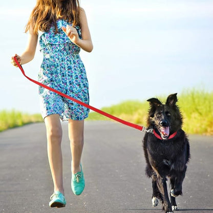 FunTags 4FT Reflective Dog Leash with Soft Padded Handle for Training,Walking Lead for Large & Medium Dog,1 Inch Wide,Red