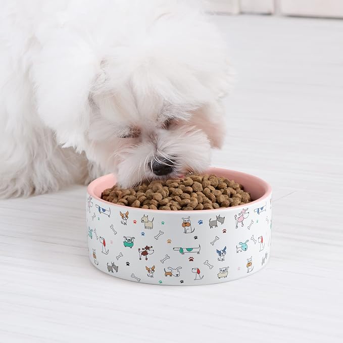 FE FUN ELEMENTS Ceramic Dog Bowls for Small Dogs, 16 Fl Oz Heavy Food and Water Bowl with Adorable Patterns (Small, Pink)