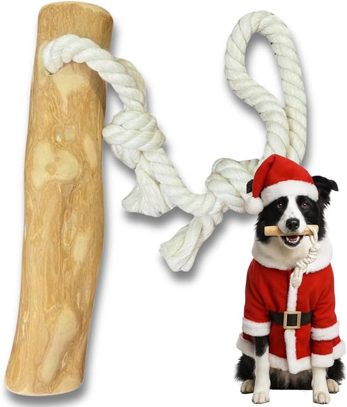 Coffee Wood Dog Chew Toy with Rope for Medium Dogs, Natural Wood Stick for Light to Moderate Chewers, Safe & Long Lasting Chew Toy for Dental Care, Tug Play & Boredom Relief (M - Under 50lbs)