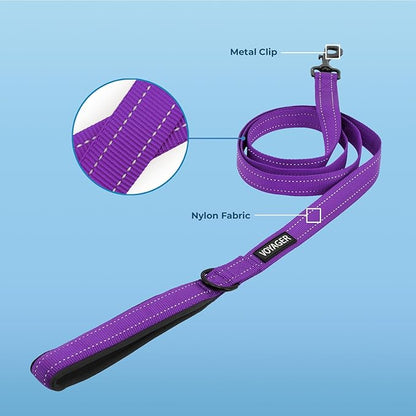 Best Pet Supplies Voyager Reflective Dog Leash or Collar with Neoprene Handle, for Small, Medium, and Large Breed Puppies, Cute and Heavy Duty for Walking, Running and Training - Purple (Leash), L