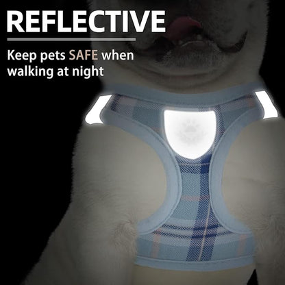 PUPTECK Adjustable Dog Harness Collar and Leash Set Step in No Pull Pet Harness for Small Medium Dogs Puppy and Cats Outdoor Walking Running, Soft Mesh Padded Reflective Vest Harnesses, Blue XS