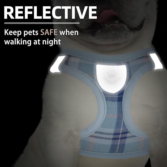 PUPTECK Adjustable Dog Harness Collar and Leash Set Step in No Pull Pet Harness for Small Medium Dogs Puppy and Cats Outdoor Walking Running, Soft Mesh Padded Reflective Vest Harnesses, Blue L