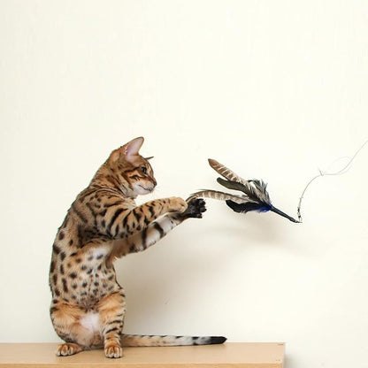GoCat Da Bird Rod and Feather Cat Toy, Handmade in The USA (1 Bird)