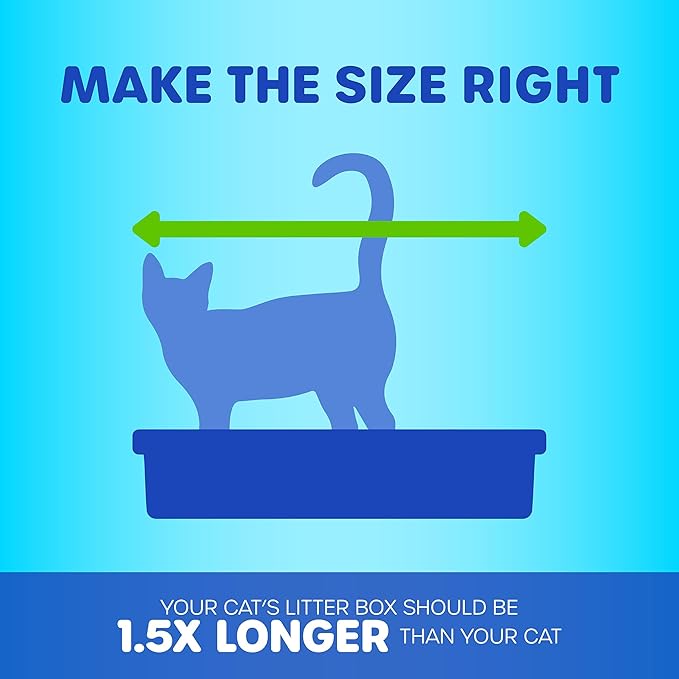 Petmate Open Cat Litter Box; Large Nonstick Litter Pan Durable Standard Box, Grey Great for Small & Large Cats Easy to Clean; Made in USA