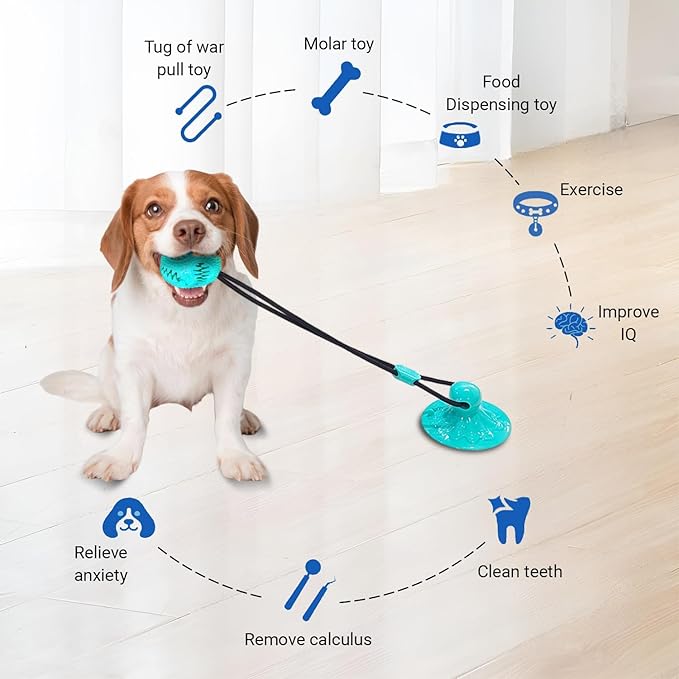 Dog Treat Food Dispensing Ball - Chew Toy with Suction Cup for Aggressive Chewers, Tug of War Toy, Stimulating Dog Activity Games for Training/Puppy Enrichment (Aqua)