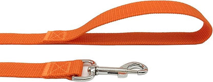 TAIAN 4FT/5FT/6FT Strong Dog Leash, Nylon Dog Leashes for Small Medium Large Dogs (5/8 in x 5 ft, Orange)