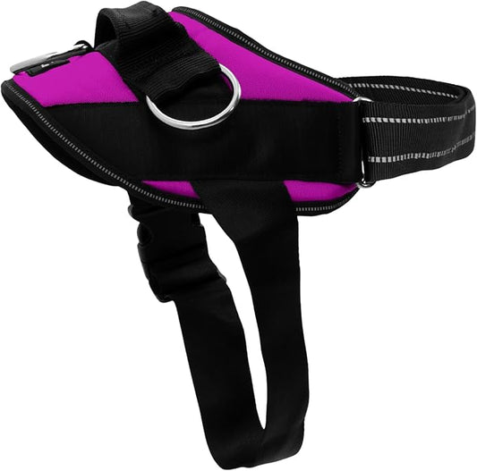 ShawnCo Essential Dog Harness, No-Pull Pet Vest with 3 Leash Clips, No Choke, Reflective, Adjustable and Padded, for Easy Walking and Training for Small, Medium and Large Dogs (Orchid, XS)