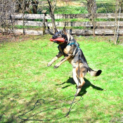 15ft Long Leather Dog Leash with Traffic Handle, Braided Leather Training Lead, Tieout for Yard, Double Handle Dog Leash for Small Medium Large Dogs Outdoor Hiking, Camping, Hunting Black - Image 6