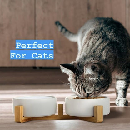 Ceramic Cat and Small Dog Bowl Set – Modern Indoor Small Size Pet Food and Water Bowls with Wood Stand – Non Slip Puppy Sized Feeding Station with Double Dishes (White)