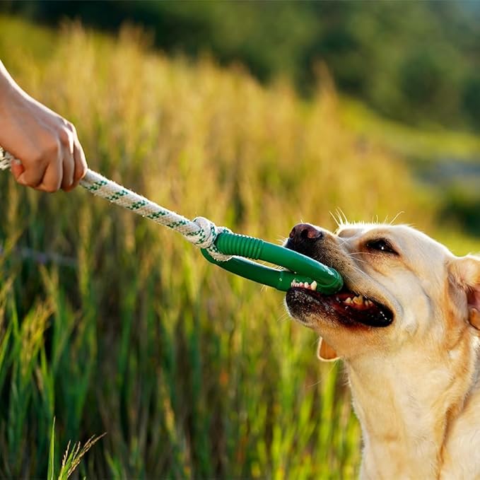 Green Sheep Medium Natural Rubber Ring Rope Toy for Dogs, Durable Chew & Interactive Dog Toy for Small to Large Dogs, Pet Toys with Recycle Cotton Rope for Tug of War & Play, Green