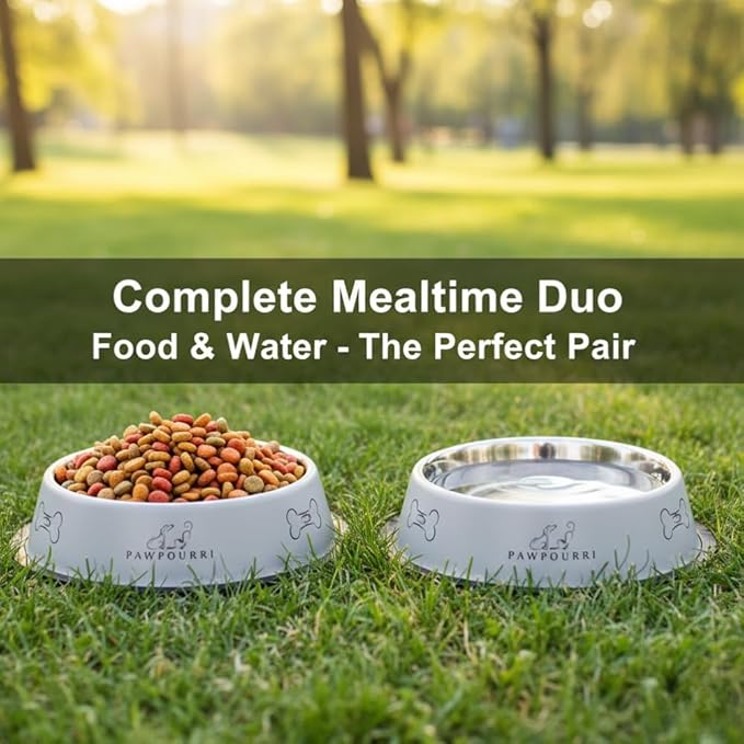 2 Pack Stainless Steel Dog Bowls – 16 fl oz Anti-Skid Food & Water Bowls for Small Dogs, Puppies & Cats|Dog Food & Water Bowl|Dog Feeding Bowl (Grey)