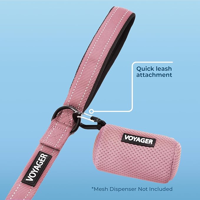 Best Pet Supplies Voyager Reflective Dog Leash or Collar with Neoprene Handle, for Small, Medium, and Large Breed Puppies, Cute and Heavy Duty for Walking, Running and Training - Soft Pink (Leash), M