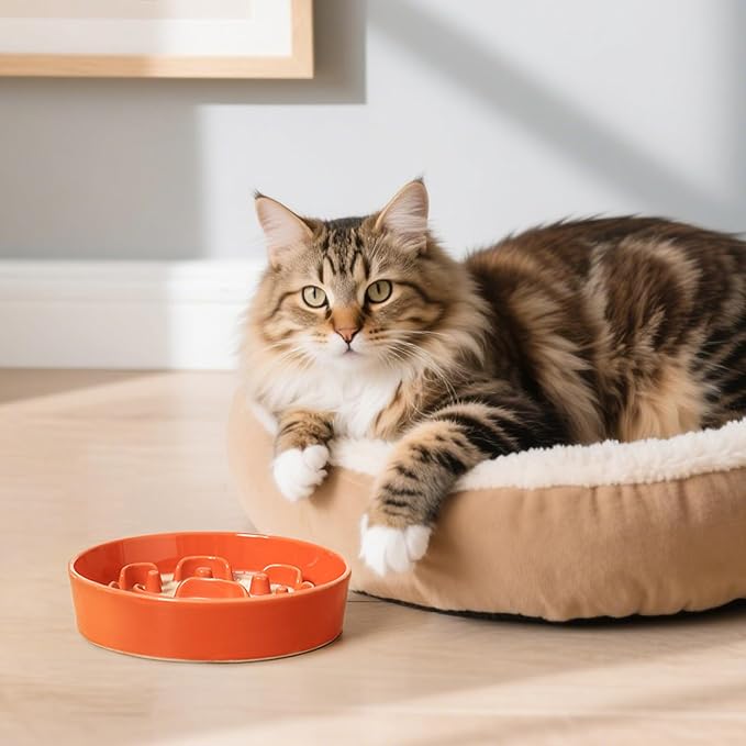 Ceramic Slow Feeder Dog Bowl - Feeding Dish for Fast Eaters - Maze Dog Bowl to Slow Down Eating - Ideal Food Control Dish for Small Breeds - 0.8 Cups (80g) - 6.3 Inch - Orange