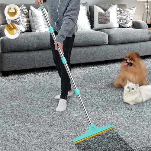 B-Land Carpet Rake for Pet Hair Removal, Reusable Carpet Scraper for Rug by B-Land