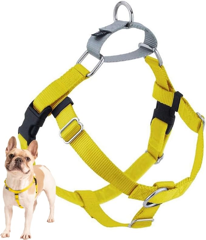 2 Hounds Design Freedom No Pull Dog Harness, Adjustable Harness, Easy Walking & Comfortable Control, Fits Small, Medium & Large Dogs, Solid Colors, Made in USA, 1" XXL, Yellow
