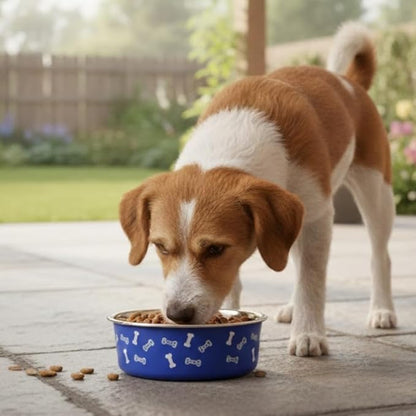 Anti-Skid Stainless Steel Dog Bowl with Anti-Skid Base, 32 fl oz | Food & Water Bowl for Small Dogs, Puppies & Cats, | Durable Pet Bowl, Blue Bone Print