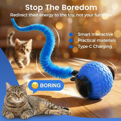 Interactive Toys for Cats, 2026 New Interactive Cat Toy Ball, Automatic Moving Cat Toy for Indoor Use, Rechargeable Feather Tail Cat Toy with Stimulation for Small Medium Large Cats (2 * Blue)