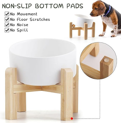 Petygooing White Raised/Elevated 15°Slanted Ceramic Dog Bowl for Small Breeds,Tilted Anti Slip Pet Feeding Bowl,Food Water Dish with Stand for Cats and Small Dogs Puppy 13.5 OZ (5.1In / 1.7 Cups)