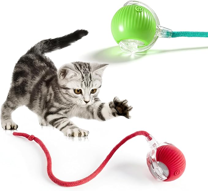 2pcs Interactive Cat Toys Ball for Indoor Cats Fast Rolling on Carpet, Chirping & Motion Activate Cat Toys Kitten Toys for Bored Indoor Cats,Motion Activated (Red+Green)