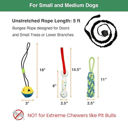 Bungee Dog Toy for Puppy Small Medium Dogs, Indoor Spring Pole Hang Over Door Frame, Outdoor Tether Rope for Yard Tree, Interactive Tug of War Pull Toy for Self Play Training Exercise