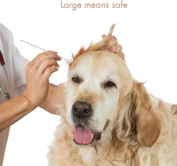 GLADOG 6 Inch Professional Large Cotton Buds for Dogs, Specially Designed Dog Cotton Buds with Bamboo Handle, Large Means Safe