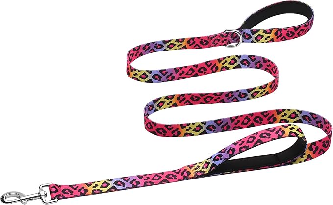 Hikiko Padded Two Handle Dog Leash 6 Ft for Medium Large Dogs, Strong Traffic Handles Lead for Walking Training (Gradient Leopard)