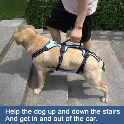Coodeo Dog Lift Harness, Support & Recovery Sling, Pet Rehabilitation Lifts Vest Adjustable Breathable Straps for Old, Disabled, Joint Injuries, Arthritis, Paralysis Dogs Walk (Blue,M) - Image 2