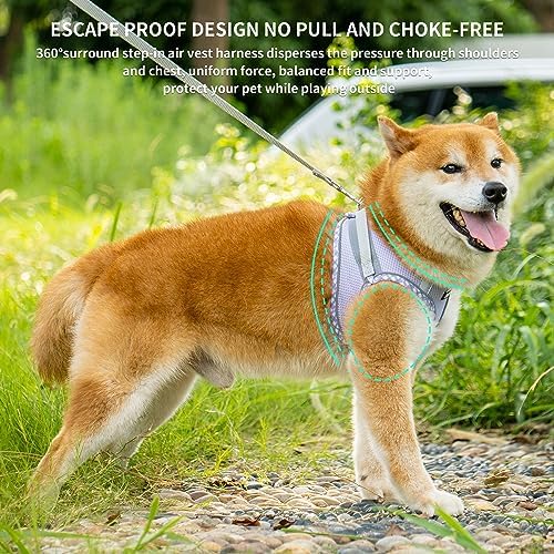 AIITLE Escape-Proof Dog Harnesss and Leash Set, Step in Pet Vest, Purple L - Image 3