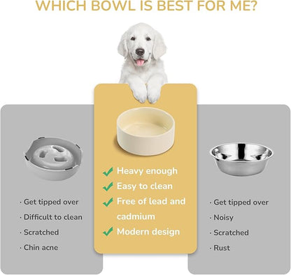 SPUNKYJUNKY 13.5OZ Ceramic Dog and Cat Bowl, Modern Cute Weighted Food Water Bowl for Replacement Beige (1 Pack)