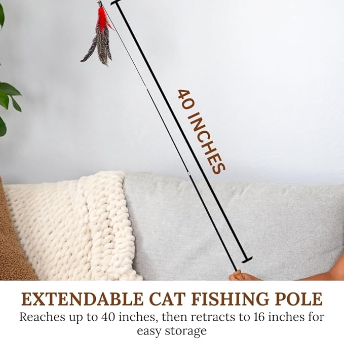 Interactive Cat Toys for Indoor Cats - Retractable Fishing Pole Teaser Wand - Suction Cup Window Mount - Hanging Door Bouncer - 9 Feather Attachments - Bored Adult Feline Activity - Kitten Juguetes