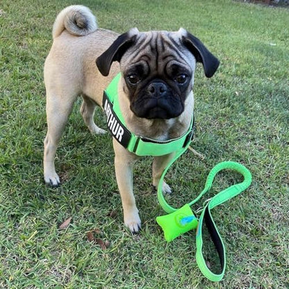 Dog Friendly Co. Poop Bag Holder for Leash, Dog Waste Bag, Premium Burgundy (Burgundy) - Image 2