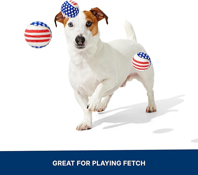 Barkbox Fetch of July Rubber Tennis Balls for Dogs & Puppies | Patriotic Trio of Squeaky Fetch Balls for Bounce, Chase & Play | Durable, Festive & Fun for Playful Pups
