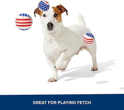 Barkbox Fetch of July Rubber Tennis Balls for Dogs & Puppies | Patriotic Trio of Squeaky Fetch Balls for Bounce, Chase & Play | Durable, Festive & Fun for Playful Pups