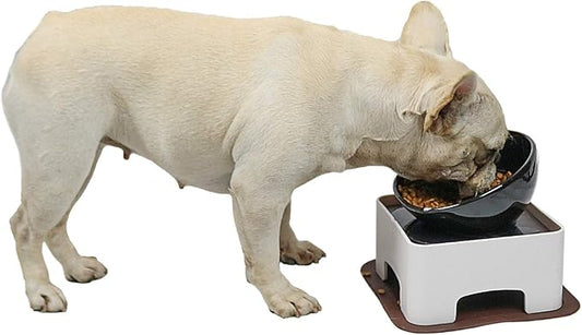 Raised Tilted Dog Feeding Bowl,Elevated Ceramic Dog Bowls Set Anti-Slip,Standing Pet Feeding Dish for Small Medium Dogs and Cats,Black