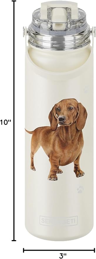 SERENGETI 24 Oz Water Bottle Stainless Steel with Spill Proof Lid - Double walled Vacuum Insulated water flask - Realistic 3D Print of your favorite dog (Dachshund red)