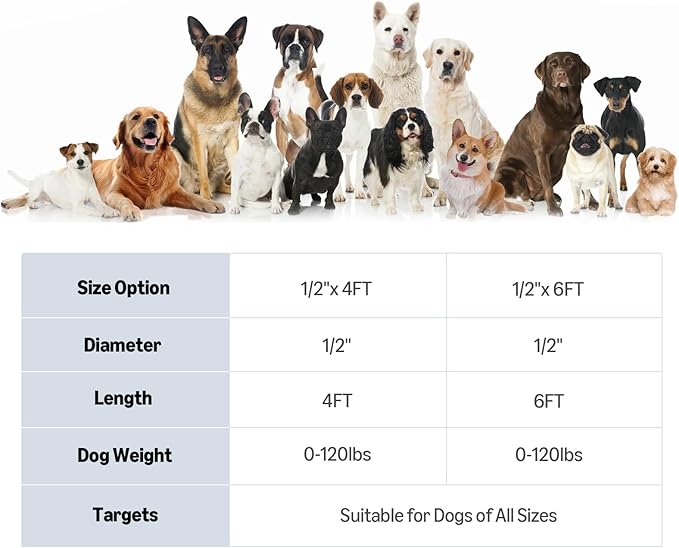 Amazon Basics Round Dog Leash, Heavy Duty, Durable Rope for Small, Medium, and Large Dogs, Lightweight Design for Walking, Training, and Outdoor Activities, Black, 6 Ft