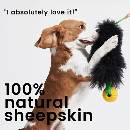 HOWGO Dog Rope Toy,Dog Bungee Chaser Toy 100% Sheepskin,Sheep Smell Tug Toy for All Breeds (Purple, Long Without Ball)