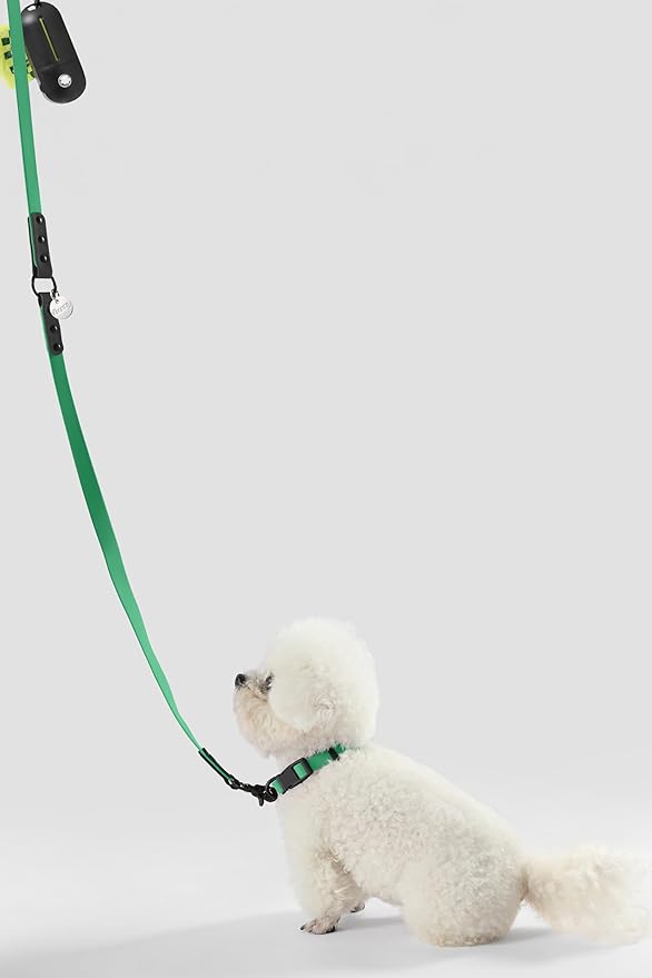 WLK1004K-5SET Luna Small 8FT Adjustable 6-in-1 Waterproof Hands-Free Leash and Collar with LED Flashlight, Bag Dispenser, and Poop Bag Holder, Julep