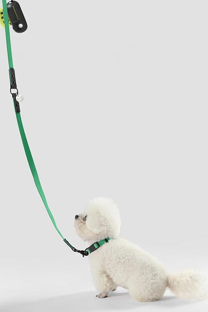 WLK1004K-5SET Luna Small 8FT Adjustable 6-in-1 Waterproof Hands-Free Leash and Collar with LED Flashlight, Bag Dispenser, and Poop Bag Holder, Julep