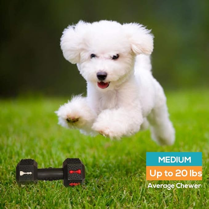 Dog Chew Toys for Aggressive Chewers Indestructible Dog Toys Tough Natural Rubber Dumbbell Toy for Small Medium Large Dogs Large Black