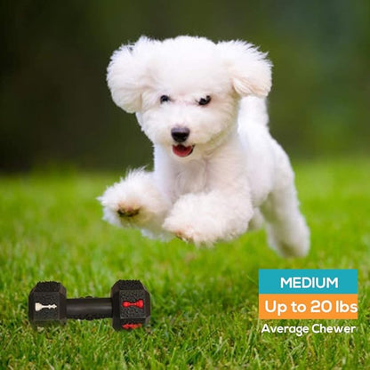 Dog Chew Toys for Aggressive Chewers Indestructible Dog Toys Tough Natural Rubber Dumbbell Toy for Small Medium Large Dogs Large Black